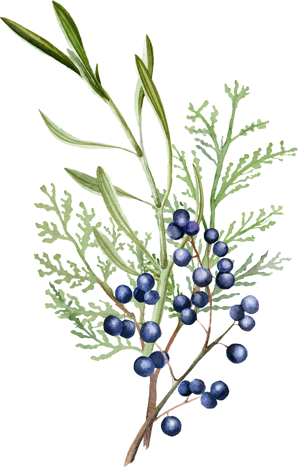 104 Gin